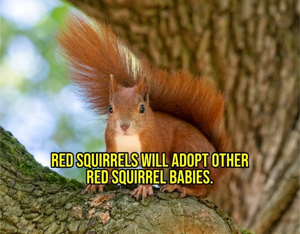 interestingfacts299_005