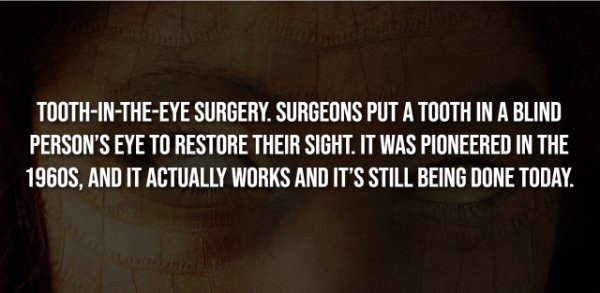 interestingfacts300_006