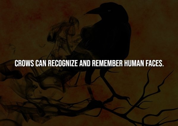 interestingfacts300_007