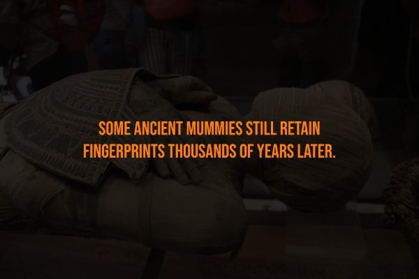 interestingfacts302_001