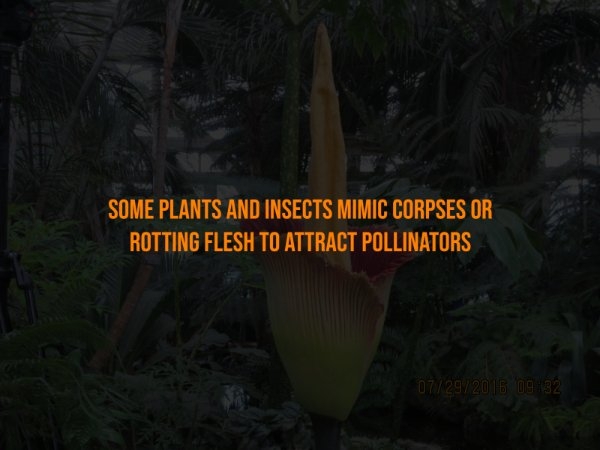 interestingfacts302_004