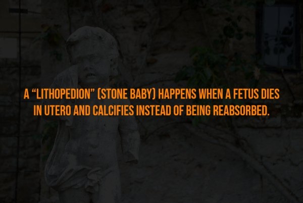 interestingfacts302_005