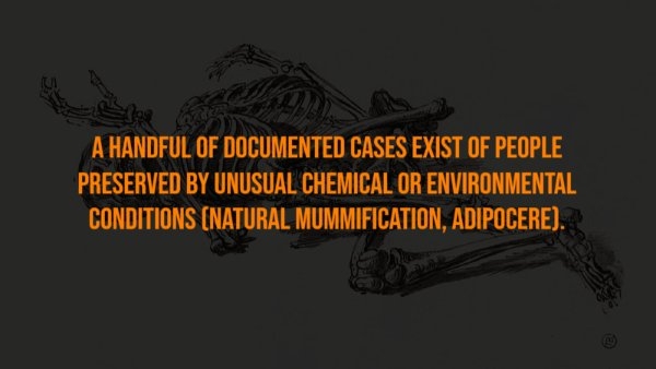 interestingfacts302_010