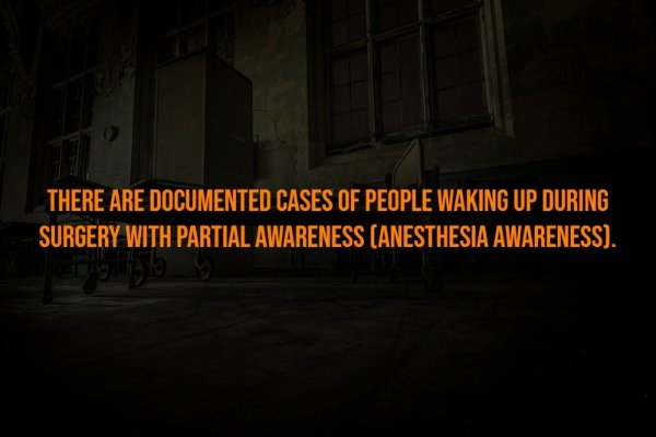 interestingfacts302_011