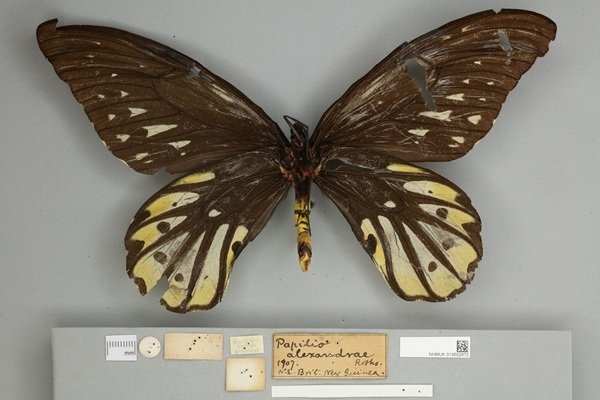 interestingfacts303_015