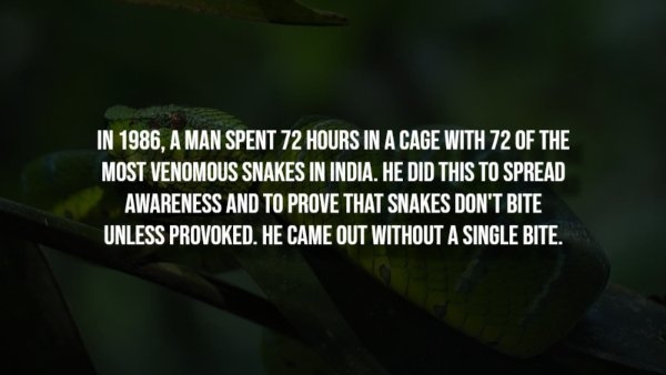 interestingfacts304_004