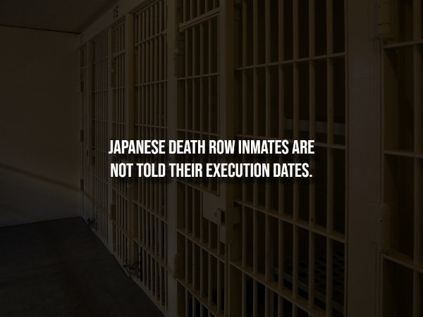 interestingfacts304_005