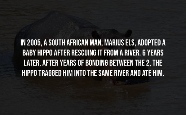 interestingfacts304_008