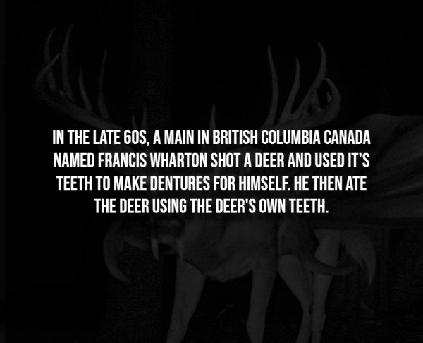 interestingfacts304_013