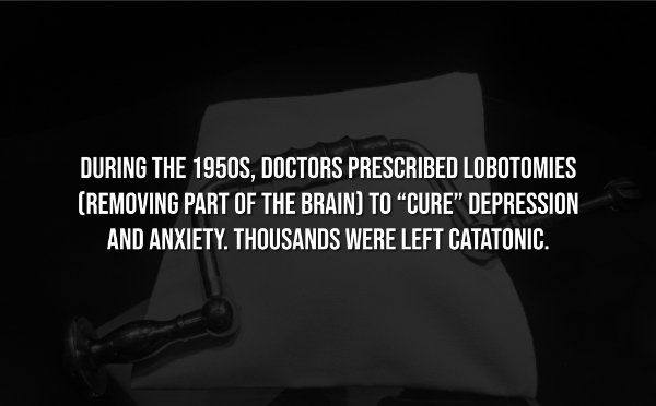 interestingfacts306_004