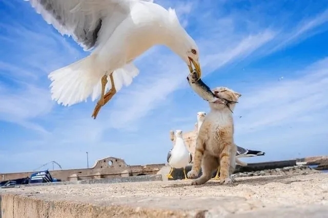 perfectphotos155_024