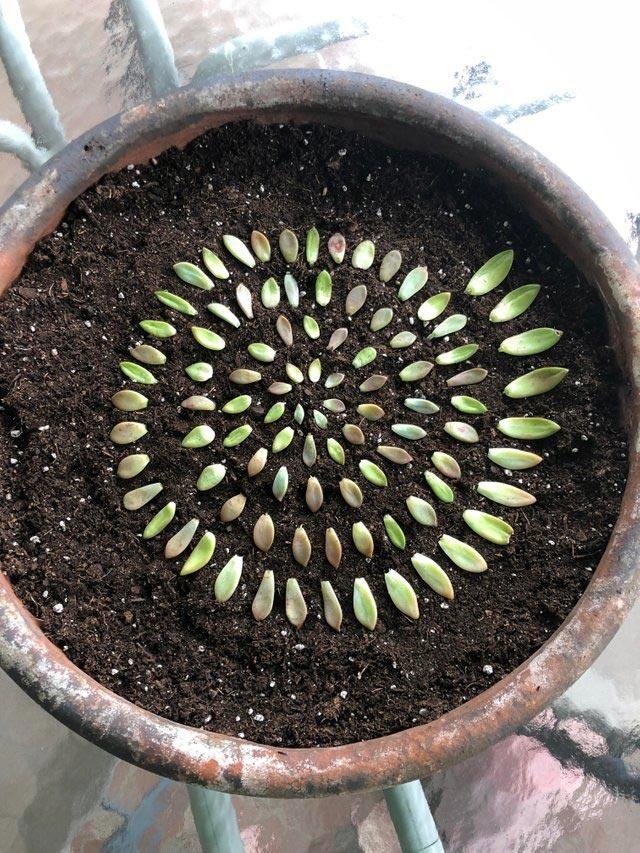 perfectphotos156_006