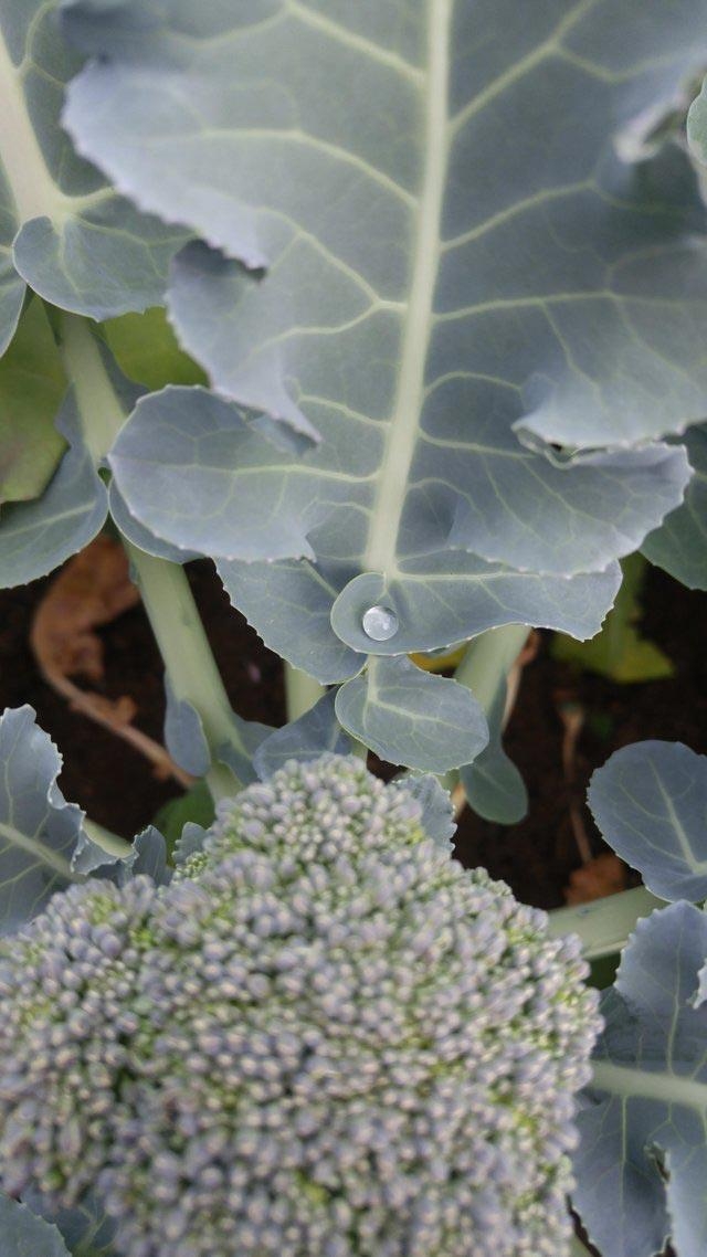 perfectphotos156_021