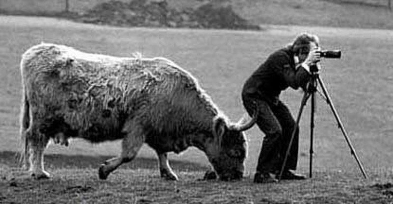 perfectphotos157_021