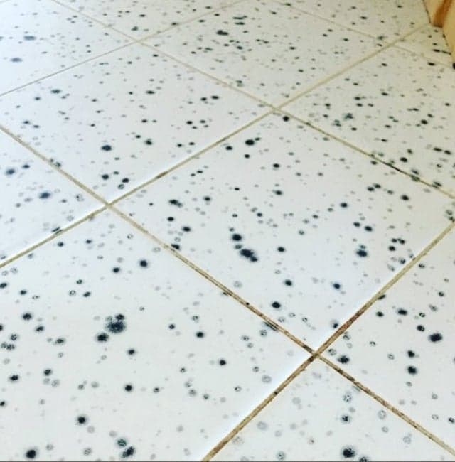 strangedesigns57_028