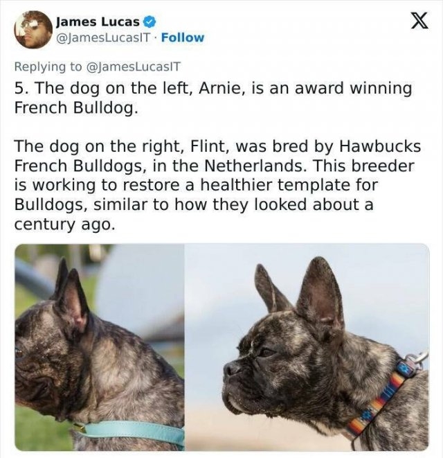 interestingfacts309_012