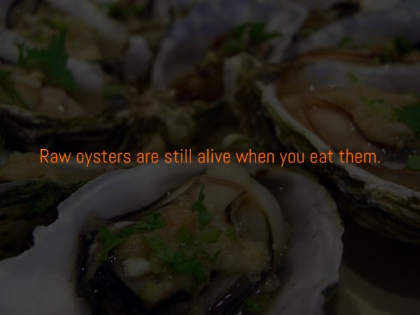 interestingfacts310_007