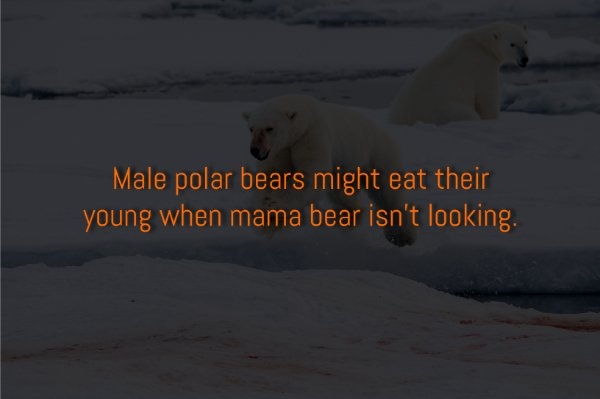 interestingfacts310_012