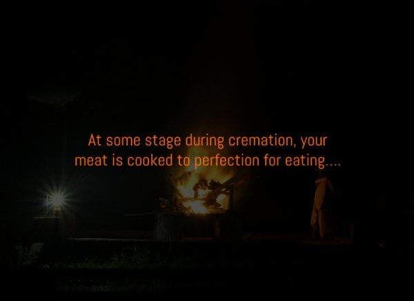 interestingfacts310_013