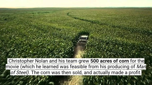 interestingfacts311_003