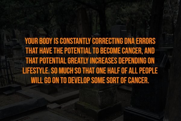 interestingfacts316_001