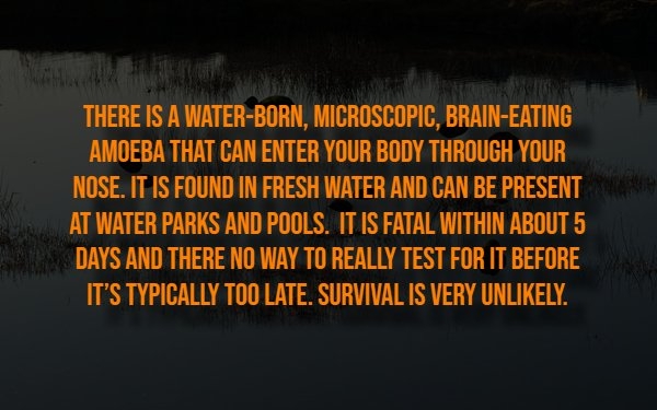 interestingfacts316_005