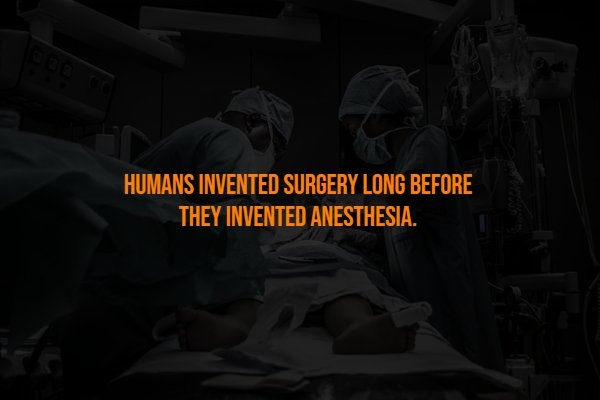 interestingfacts316_013