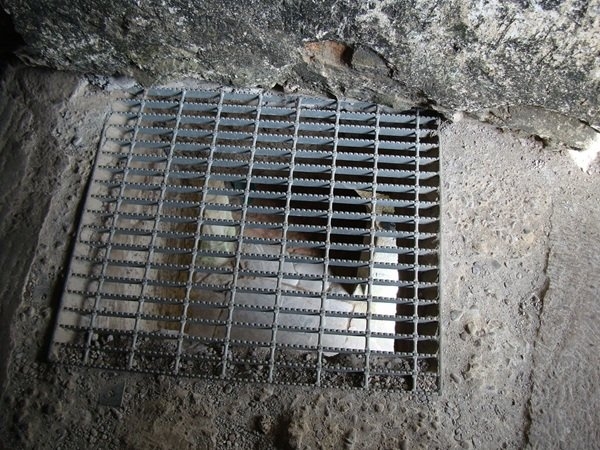 interestingfacts317_001