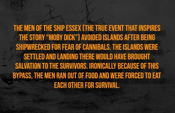 interestingfacts318_012