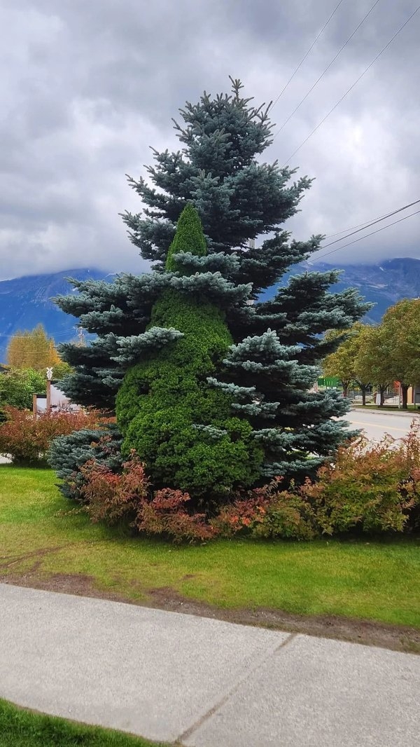 perfectphotos163_011