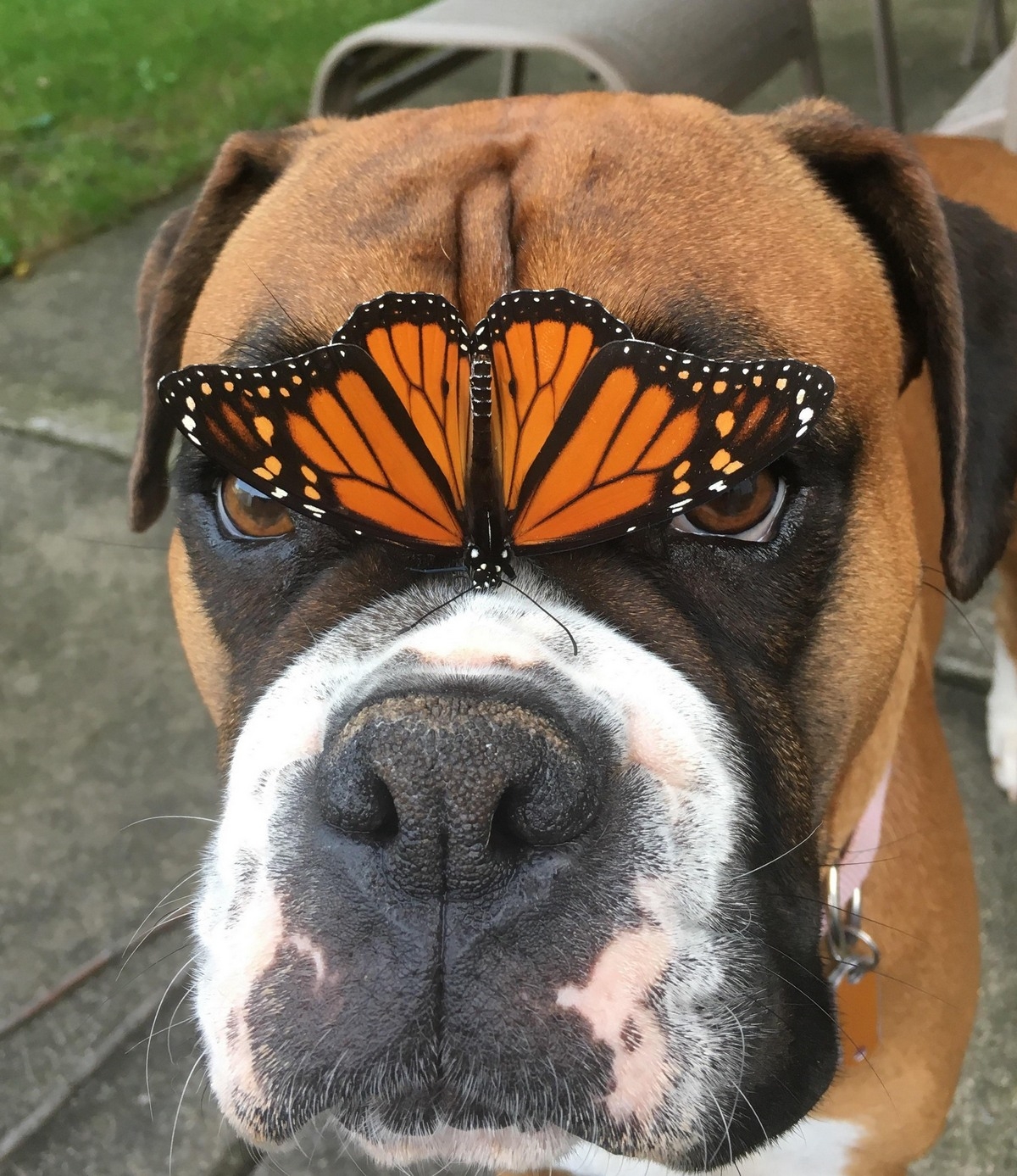 perfectphotos164_009