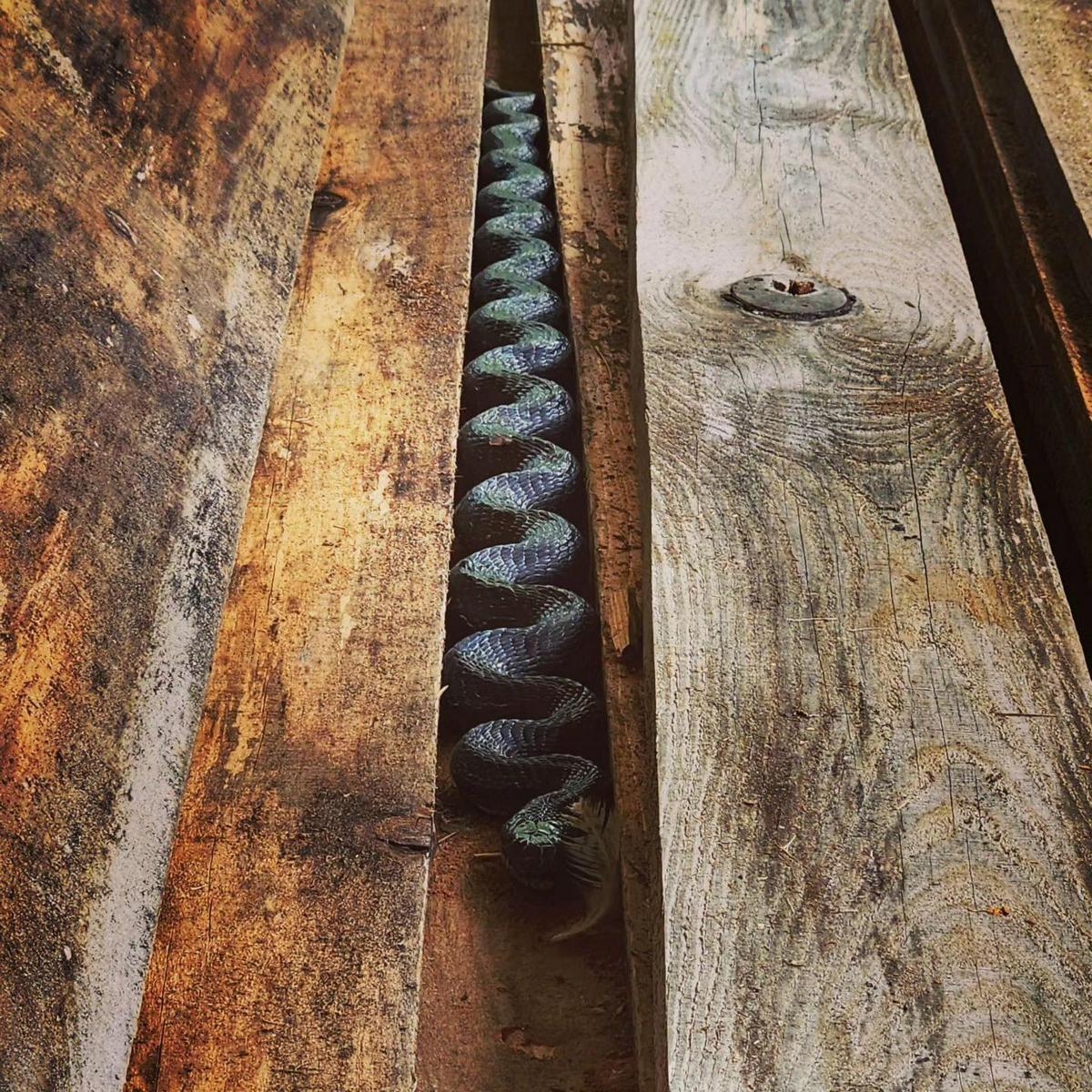 perfectphotos164_011