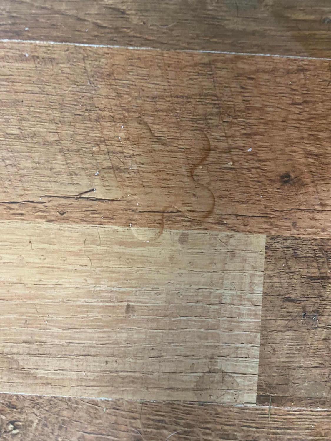 perfectphotos164_022