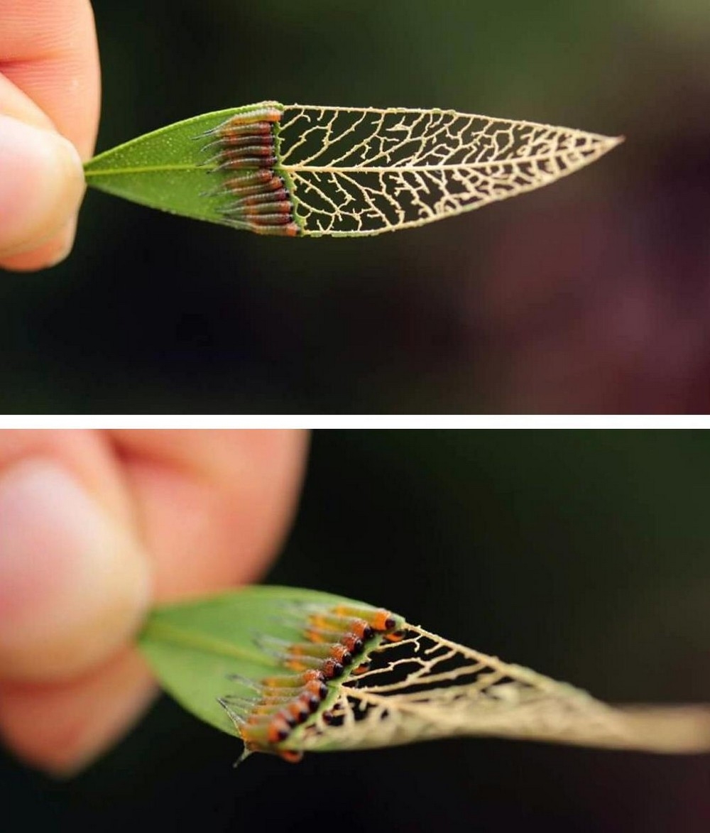 perfectphotos168_005