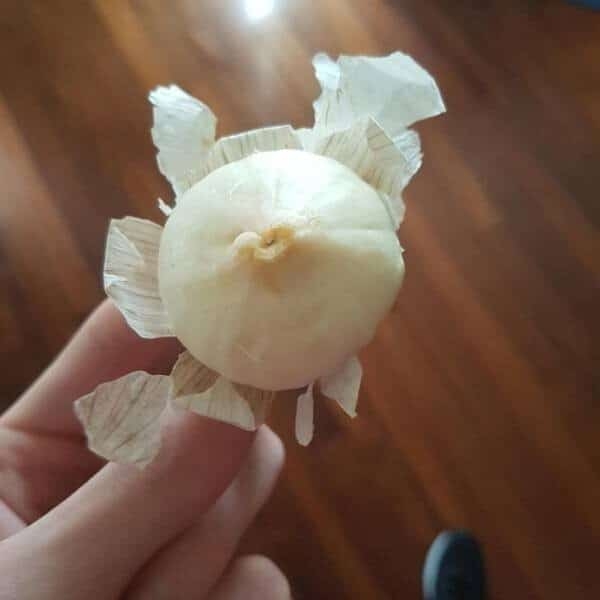 perfectphotos170_010