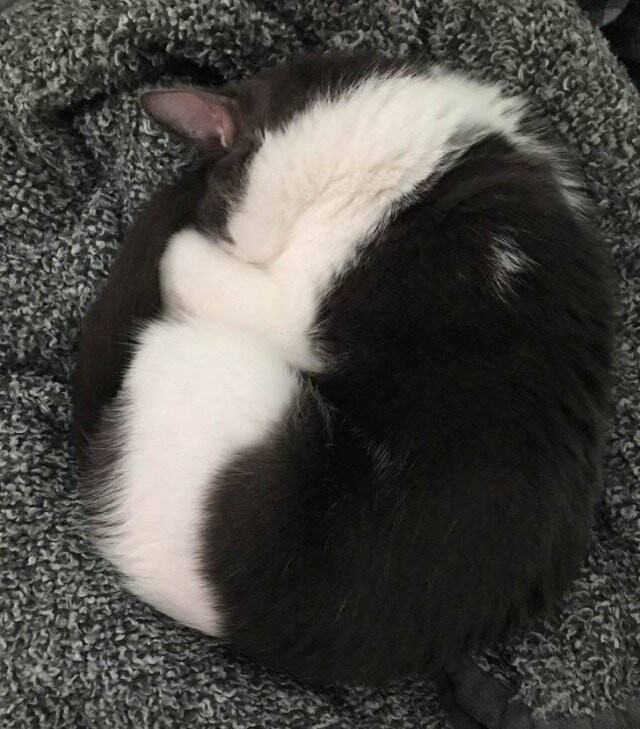 perfectphotos170_013