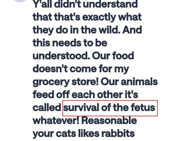 badtranslations16_006