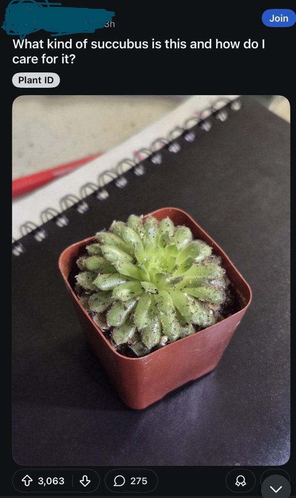 badtranslations16_008