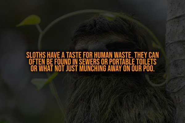 interestingfacts321_006