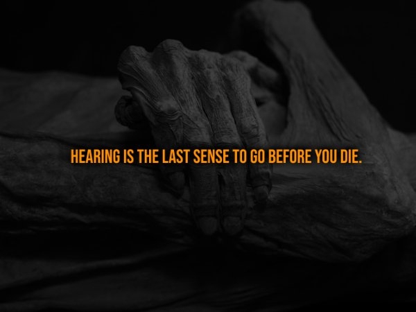 interestingfacts321_008