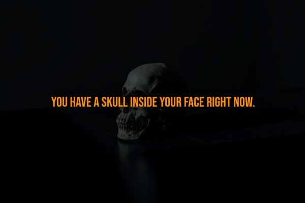 interestingfacts321_011