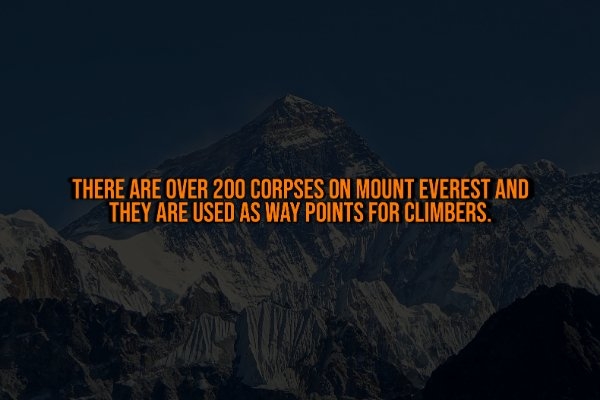 interestingfacts328_001