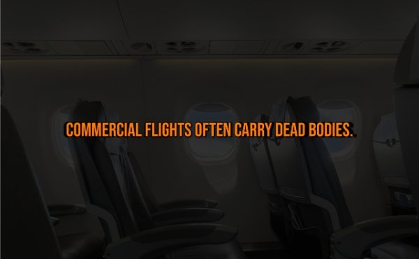 interestingfacts328_002