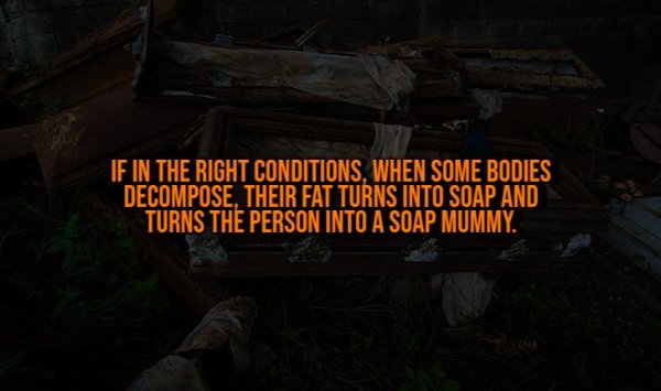 interestingfacts328_012