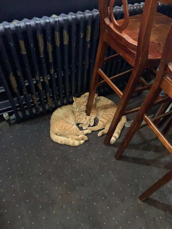 opticalillusions13_008