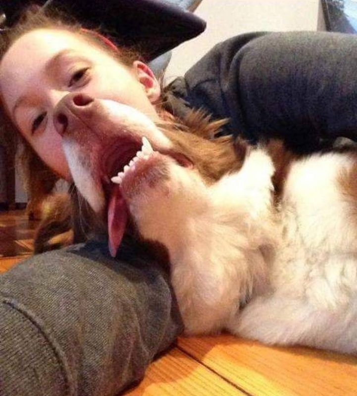 opticalillusions13_039