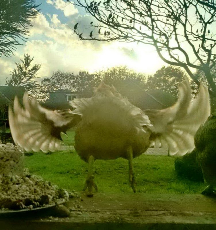 perfectphotos177_020