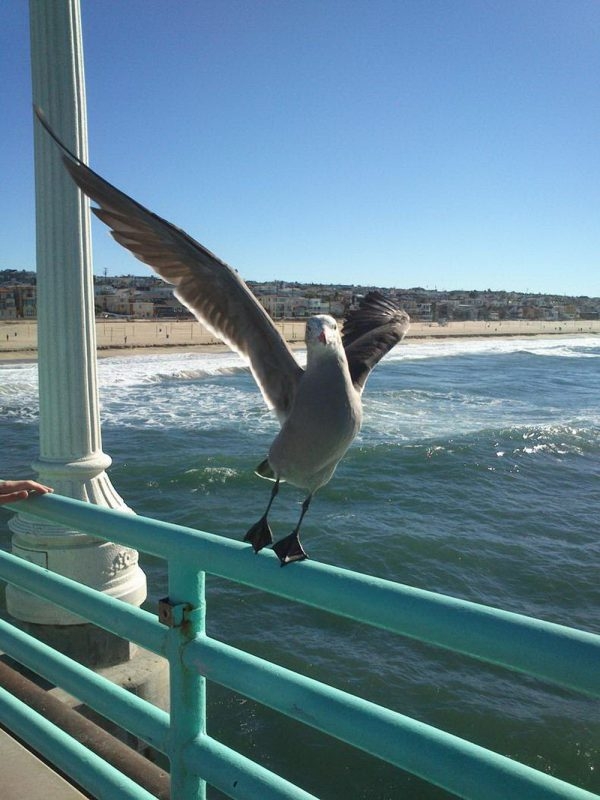 perfectphotos177_025