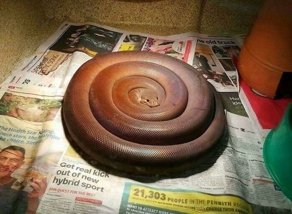 perfectphotos178_006