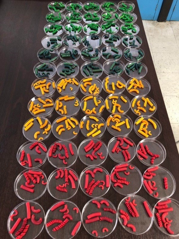 perfectphotos178_034